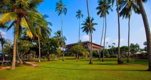 Bentota Beach Cinammon